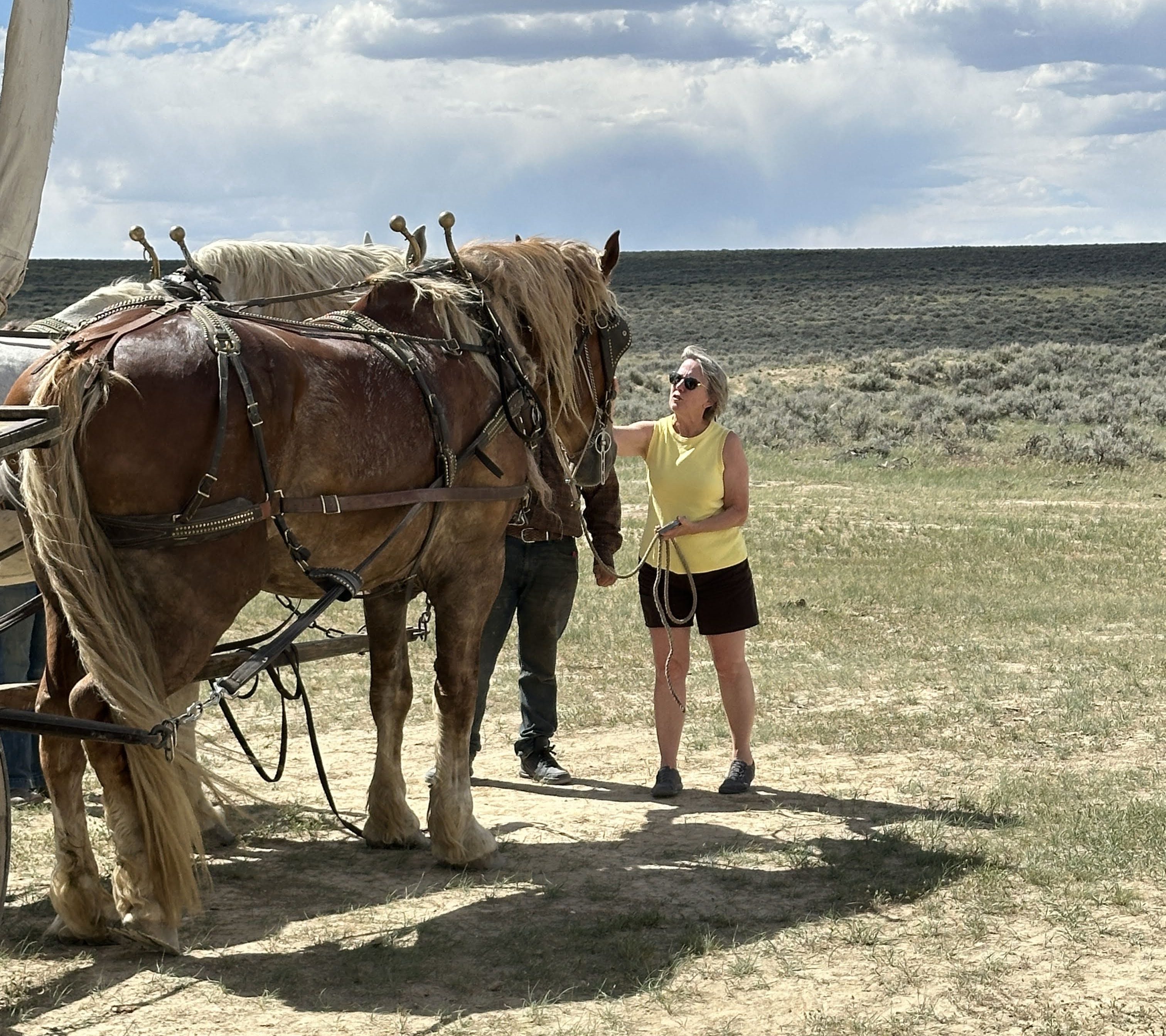 Casper, WY: Pioneer Perspectives