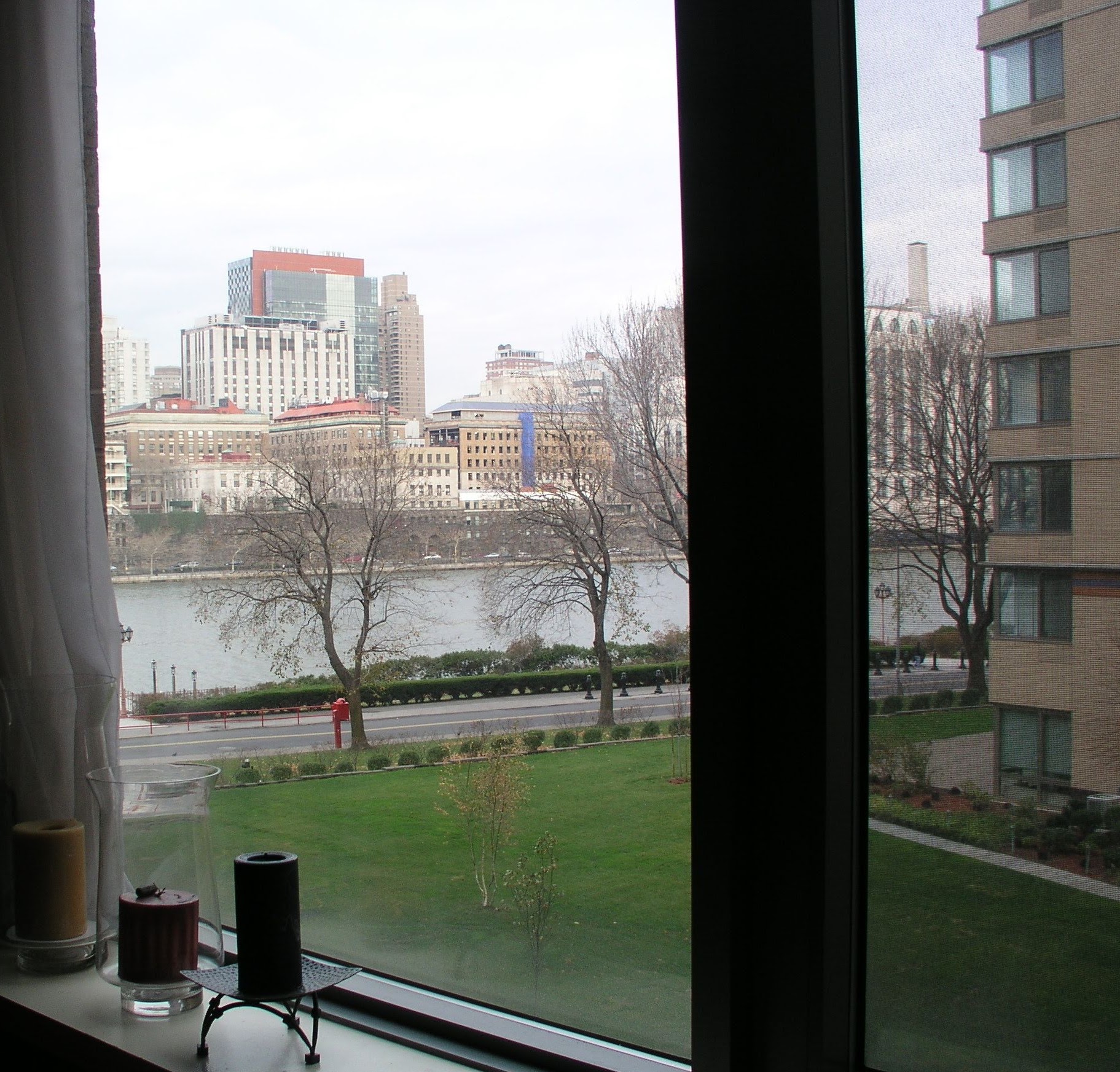 Roosevelt Island, NYC: Buy Some Furniture and Give the Cat a Name*